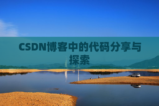 CSDN博客中的代码分享与探索